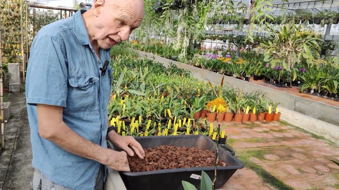 rinvaso orchidee, meglio in  bark, sfagno, fibra di cocco o altro?