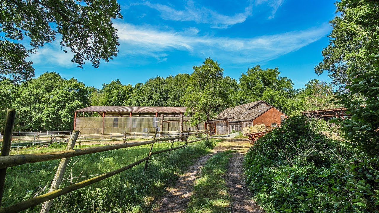 TEAM 4you: Fischerhude, Niedersachsen - Resthof / Reiterhof mit Weiden, Wald und großer Reithalle