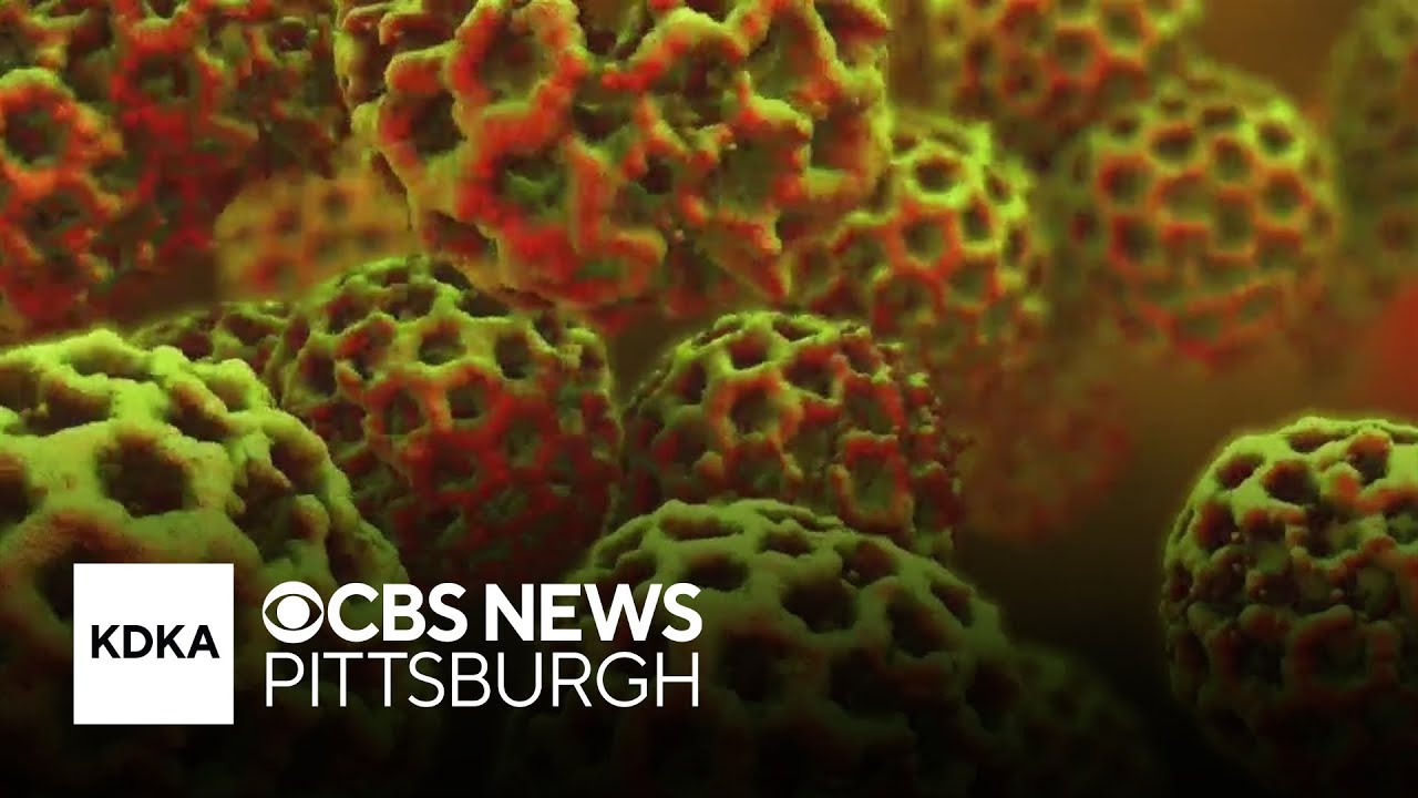 Doctor explains how to protect yourself from norovirus