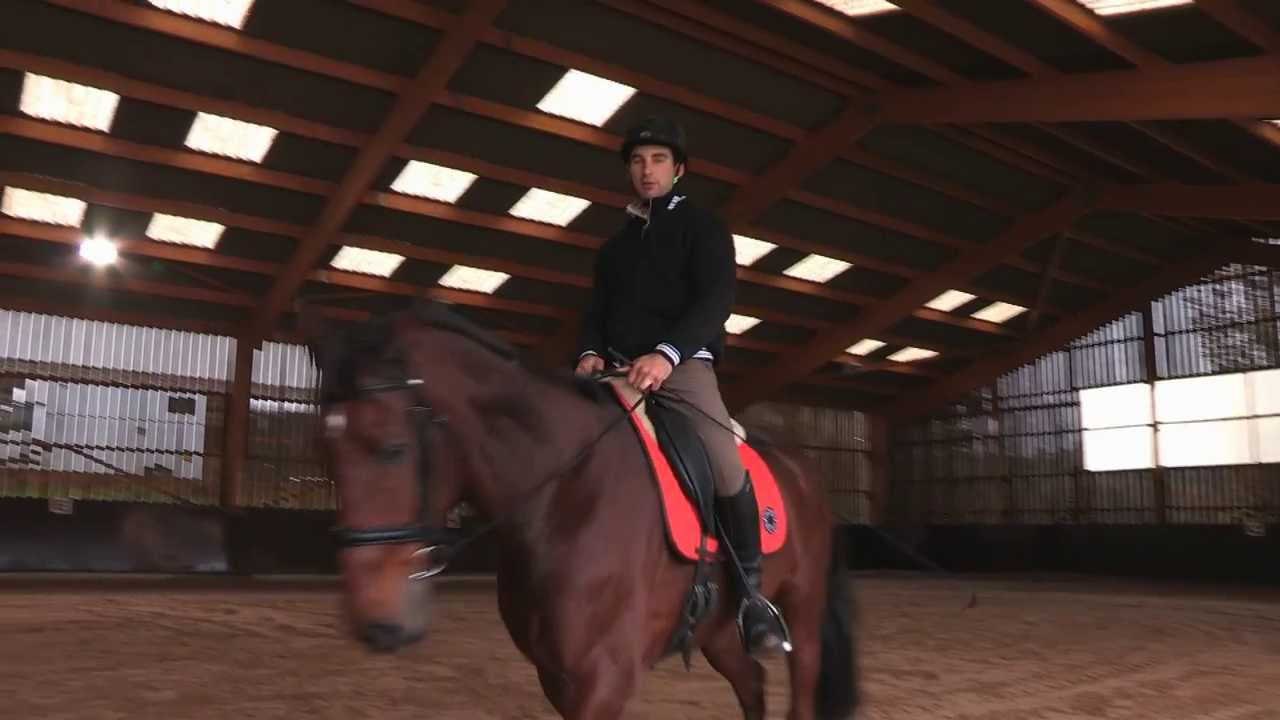 Assouplir votre cheval - Equidia Life