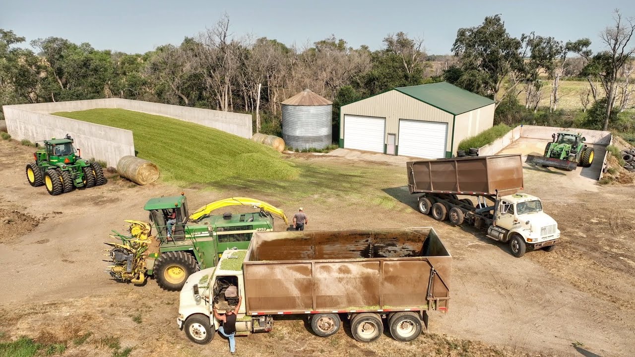Green Silage Chopping