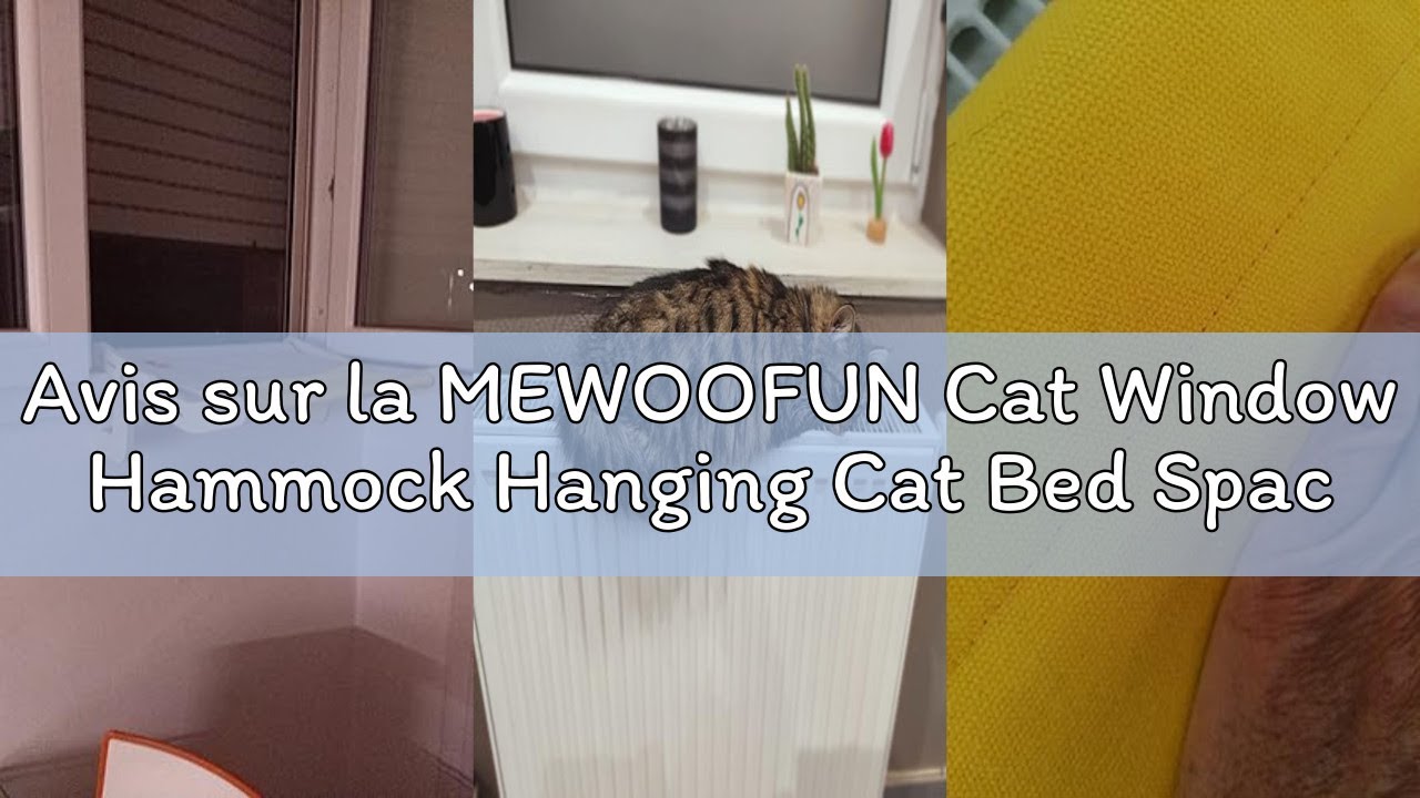Avis sur la MEWOOFUN Cat Window Hammock Hanging Cat Bed Space Saving Design Up to 40 lbs (55 x 39.6