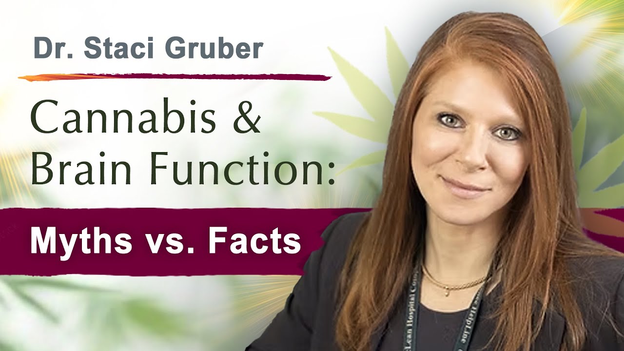 Dr. Staci Gruber: Clarifying Cannabis & Cognition: The Impact of Recreational and Medical Cannabis
