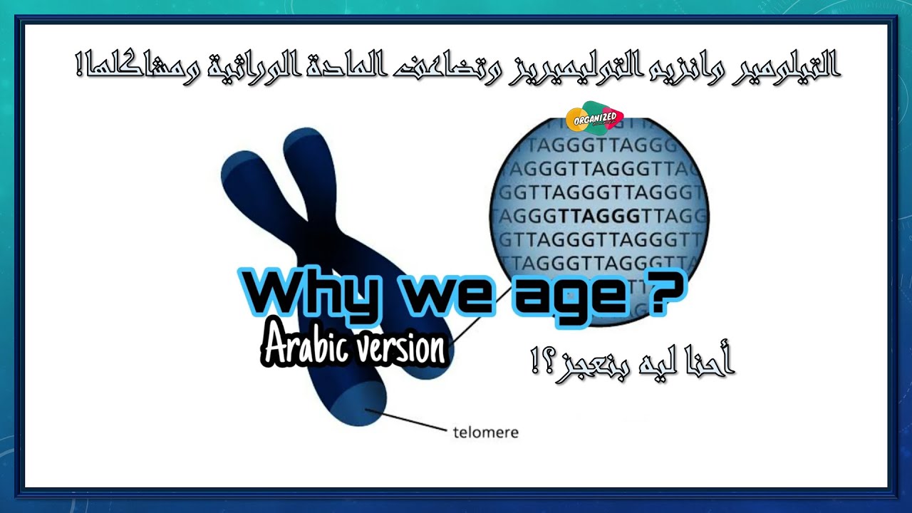 Telomere, Telomerase and End replication problem بالعربى- التيلومير وتضاعف المادة الوراثية ومشاكلها!