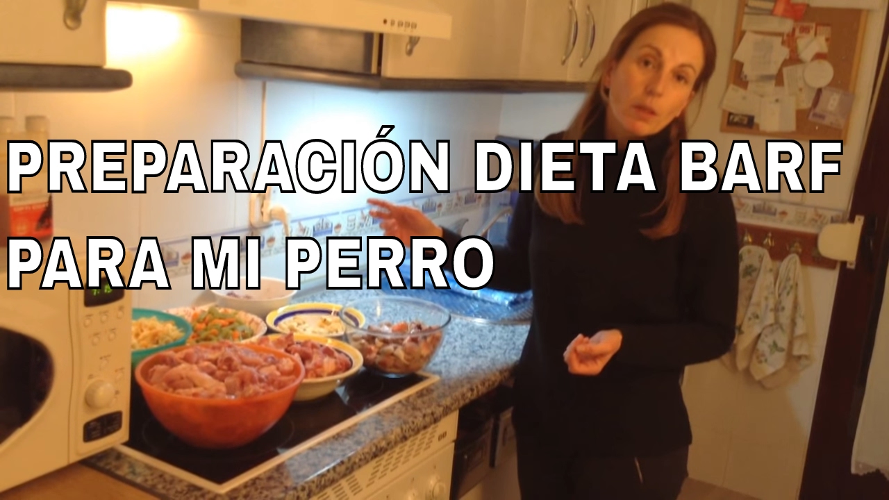 preparación dieta barf para mi perro