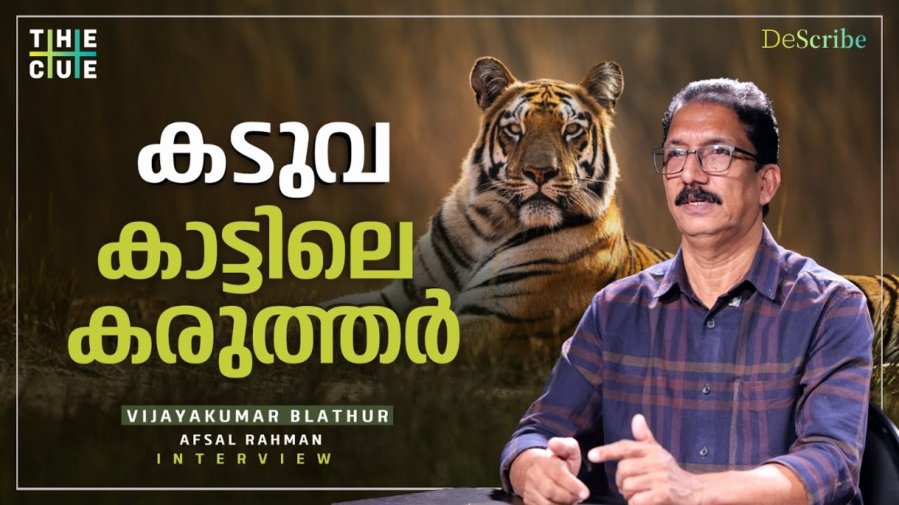 കടുവകൾക്ക് മനുഷ്യരെ പേടിയാണ് | Vijayakumar Blathur Interview | Bengal Tiger | The Cue