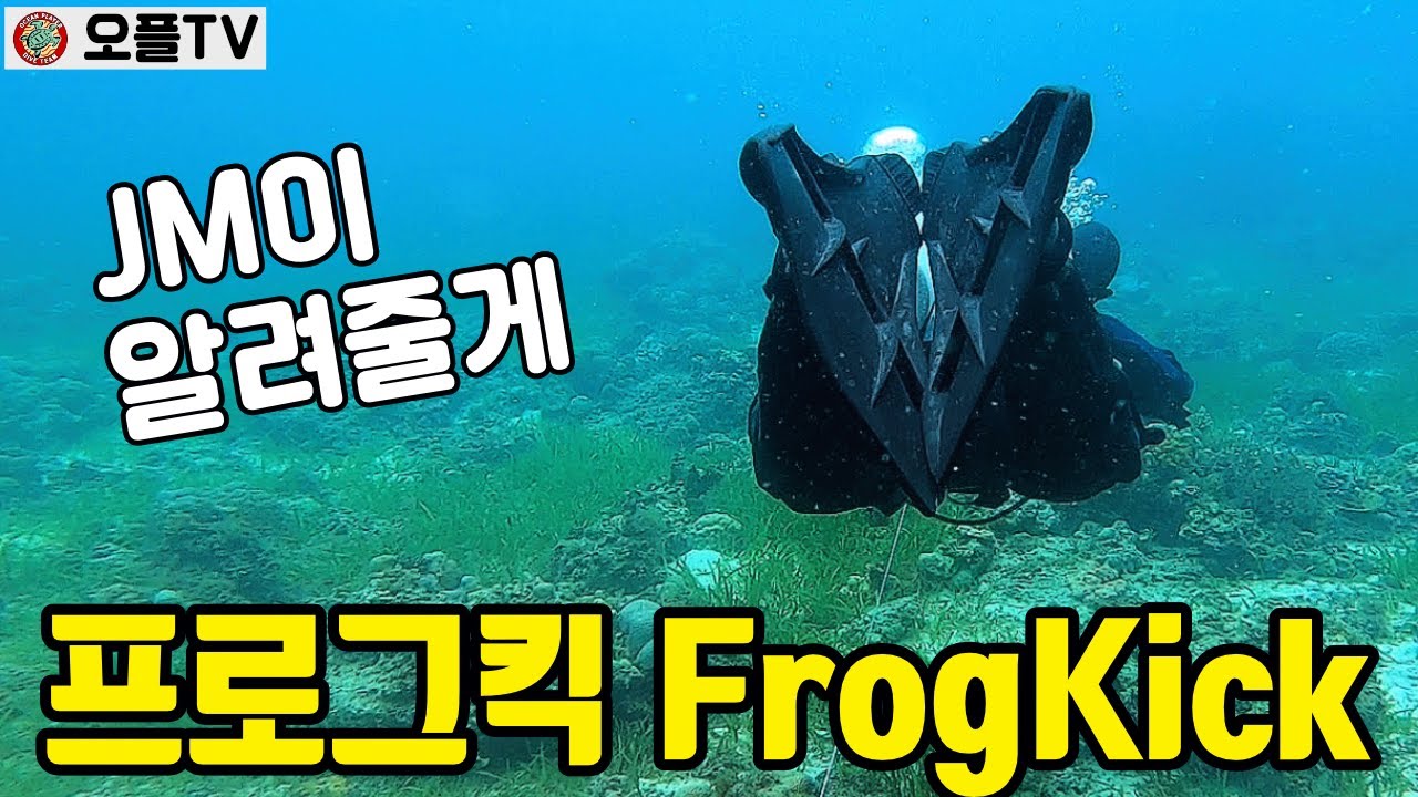 [테크니컬다이빙] 프로그킥 포인트 ㅣ 모디파이드 프로그킥 ㅣ Frog Kick