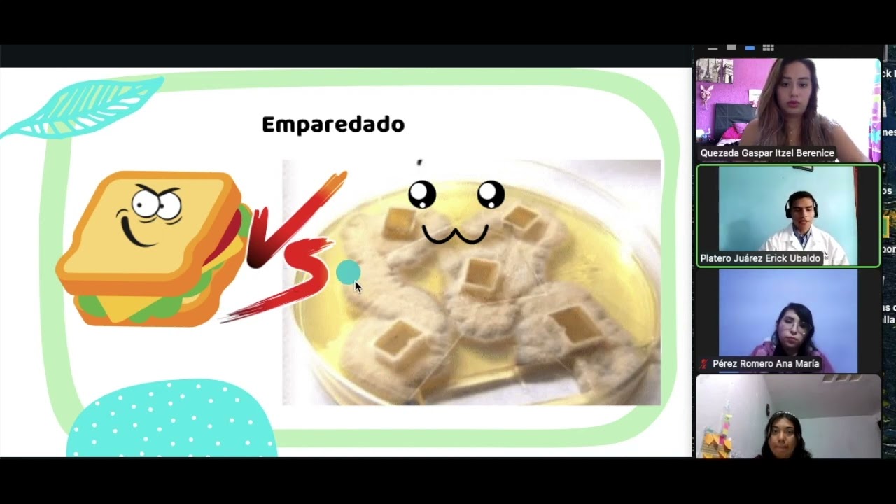 Equipo 9. Pr&aacute;ctica 4: Micolog&iacute;a. Microcultivo.