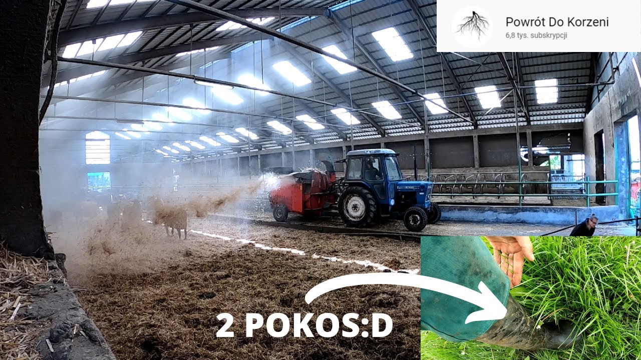 MOJA DNIÓWKA / Ścielenie słomy