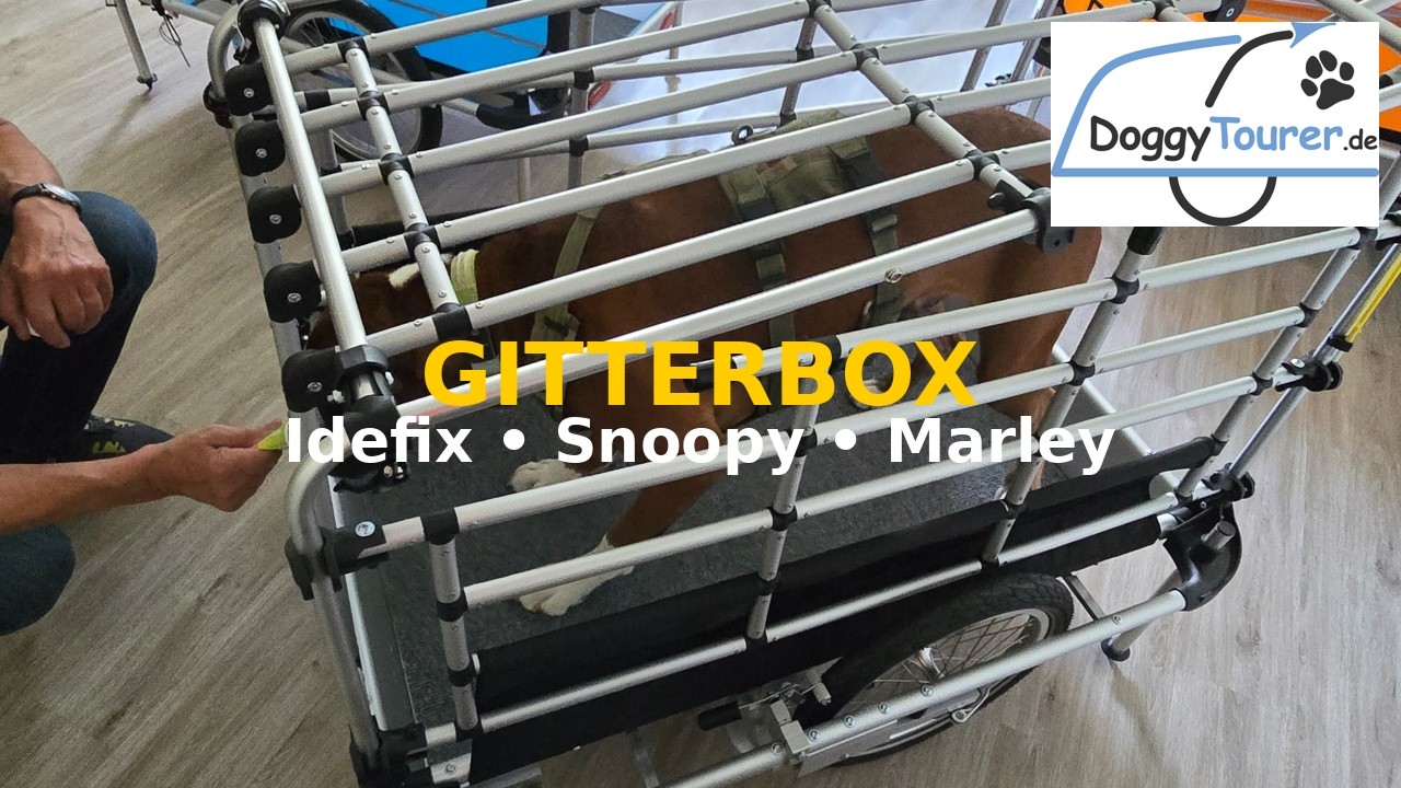 Installation Gitterbox für den DoggyTourer