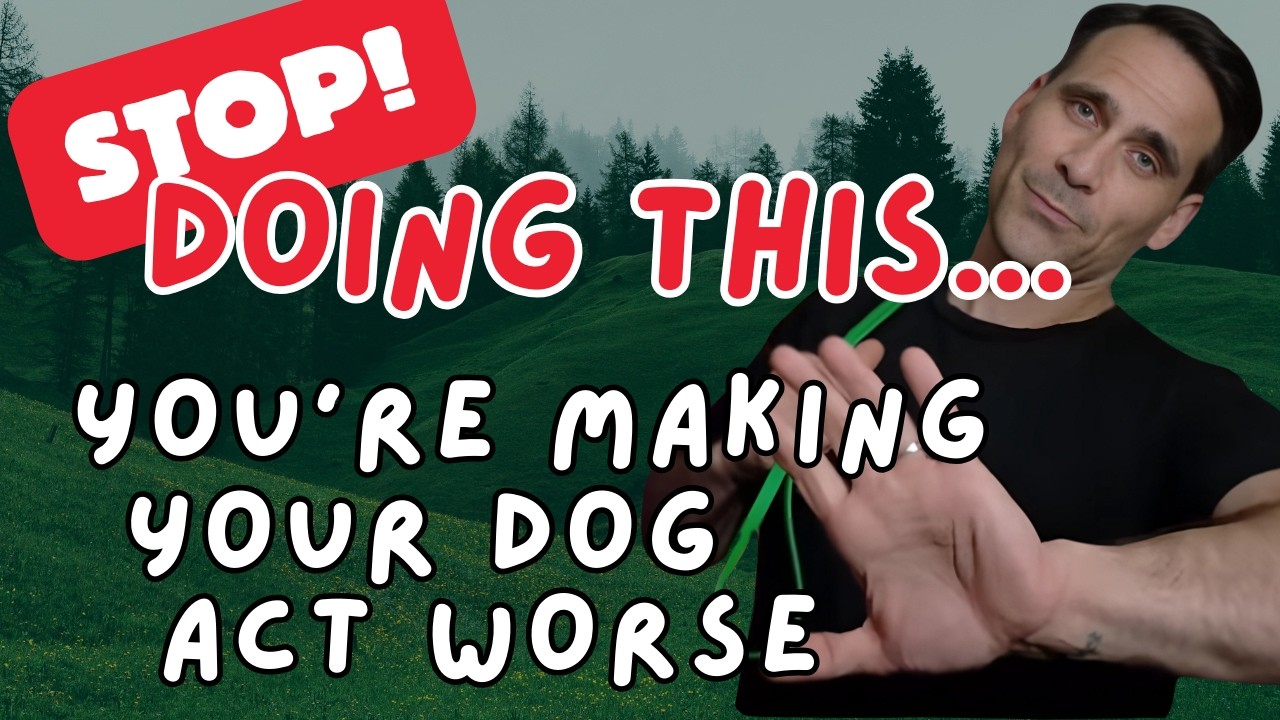 7 Dog Training Mistakes That RUIN Behavior (Avoid These!)