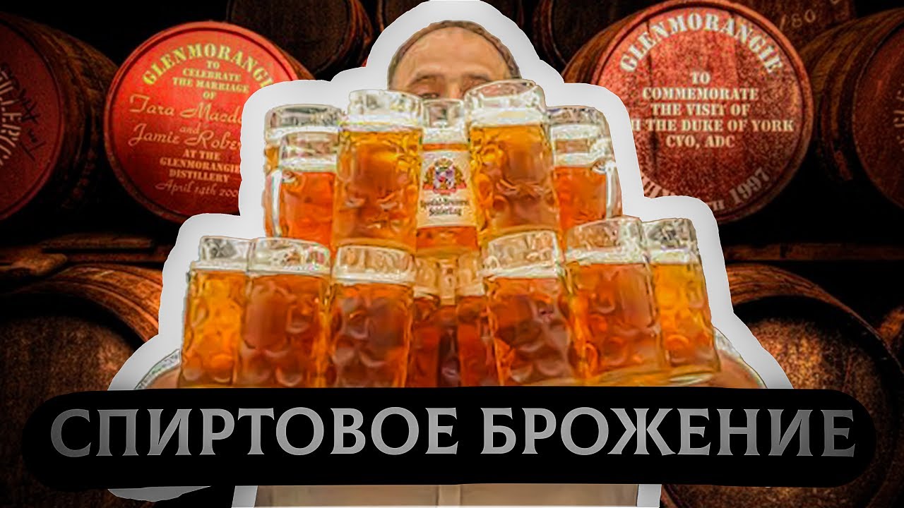 15x4 - 15 минут о спиртовом брожении