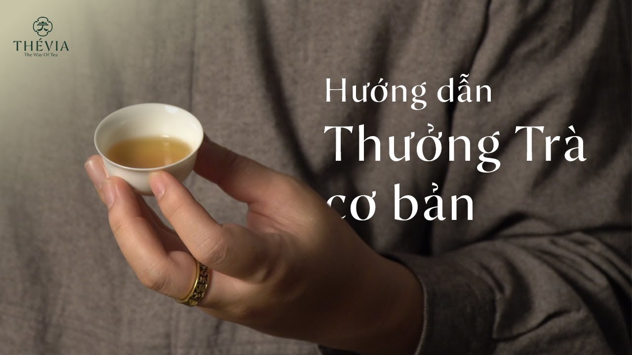 Trải Nghiệm Thưởng Trà Qua Từng Bước Cơ Bản | THÉVIA Heritage Tea