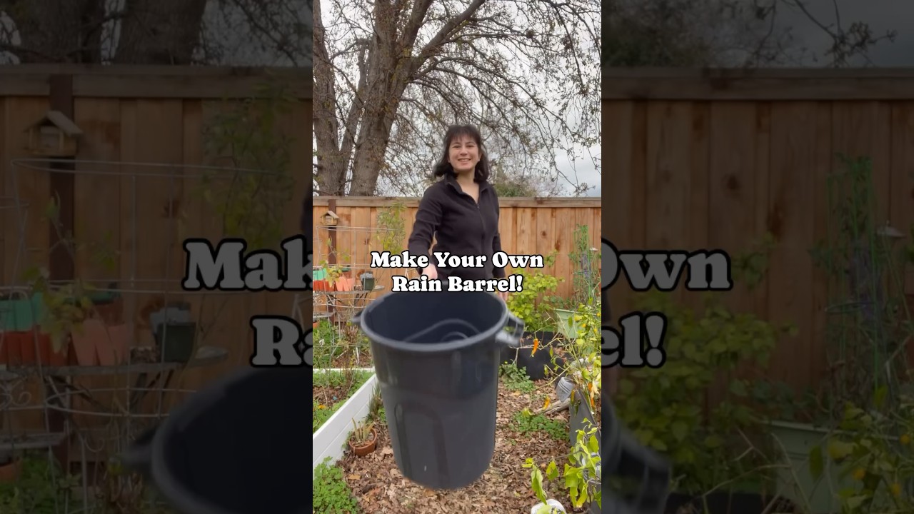 Make your own rain barrel and save water AND money! #rainwater #gardening #diy