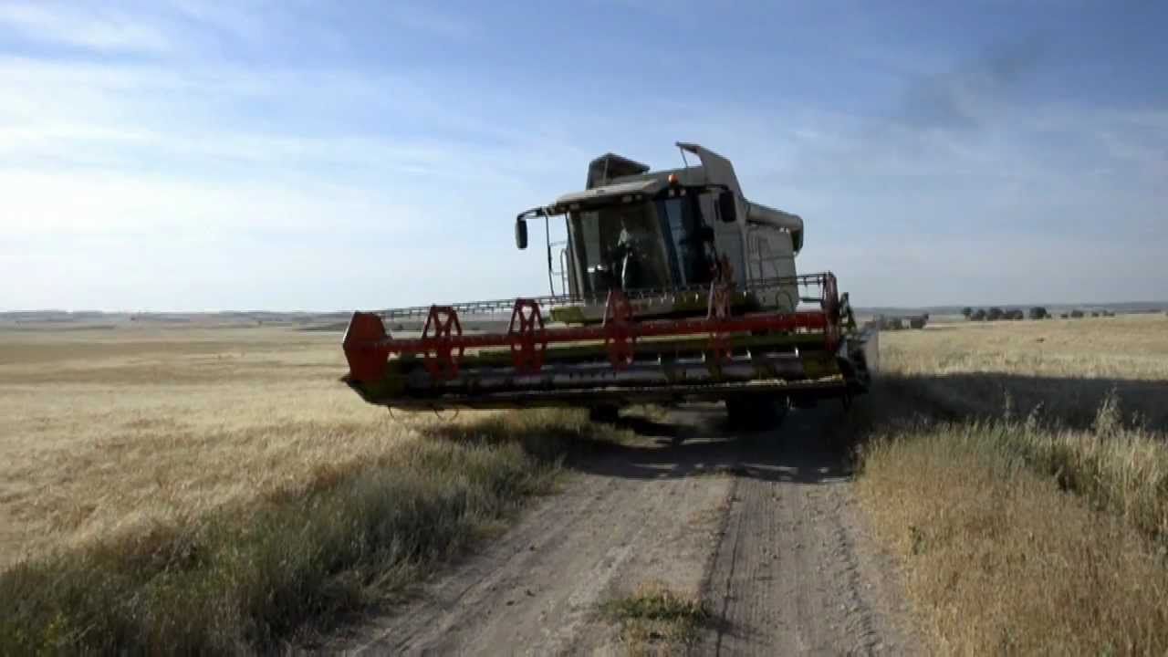 Claas Lexion 540. Cosechando Cebada Hispanic