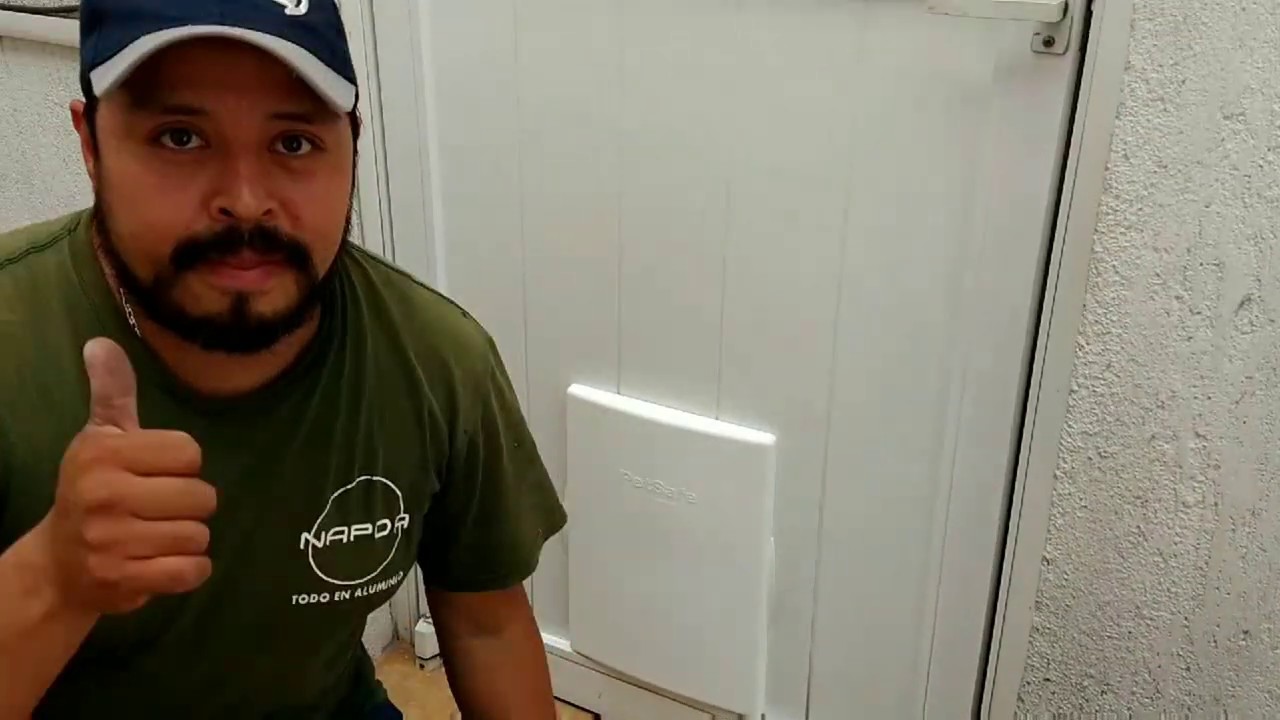 🕵️Como Colocar una Puerta para Mascotas👷