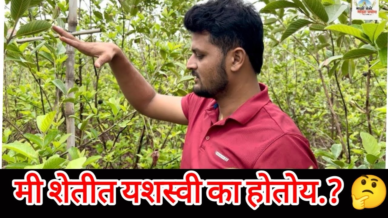 मी शेतीत यशस्वी का होतोय.? #ravirajsabalepatil #agri #agriculture #farming