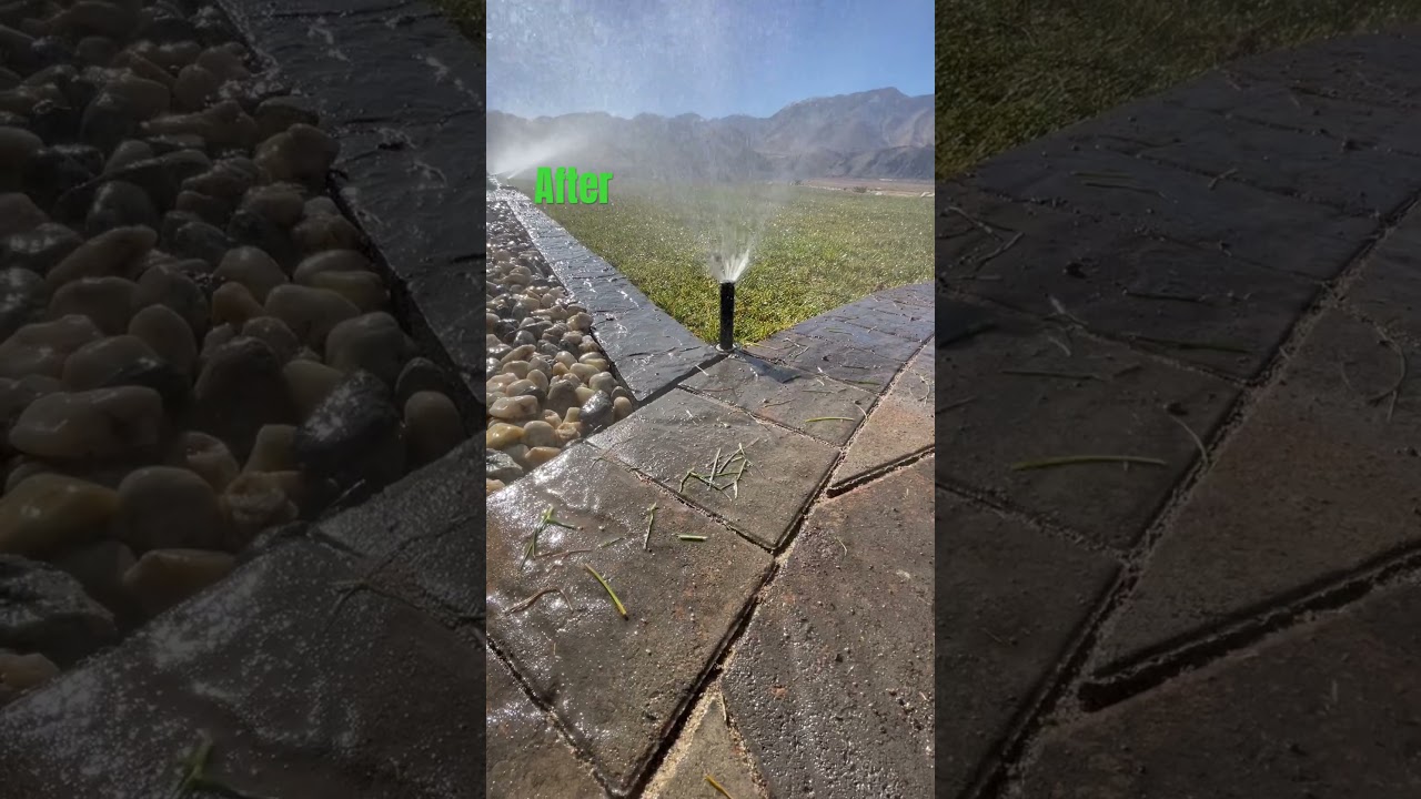 Work speaks for itself 🫡🇺🇸 #Sod #Install #Landscaping