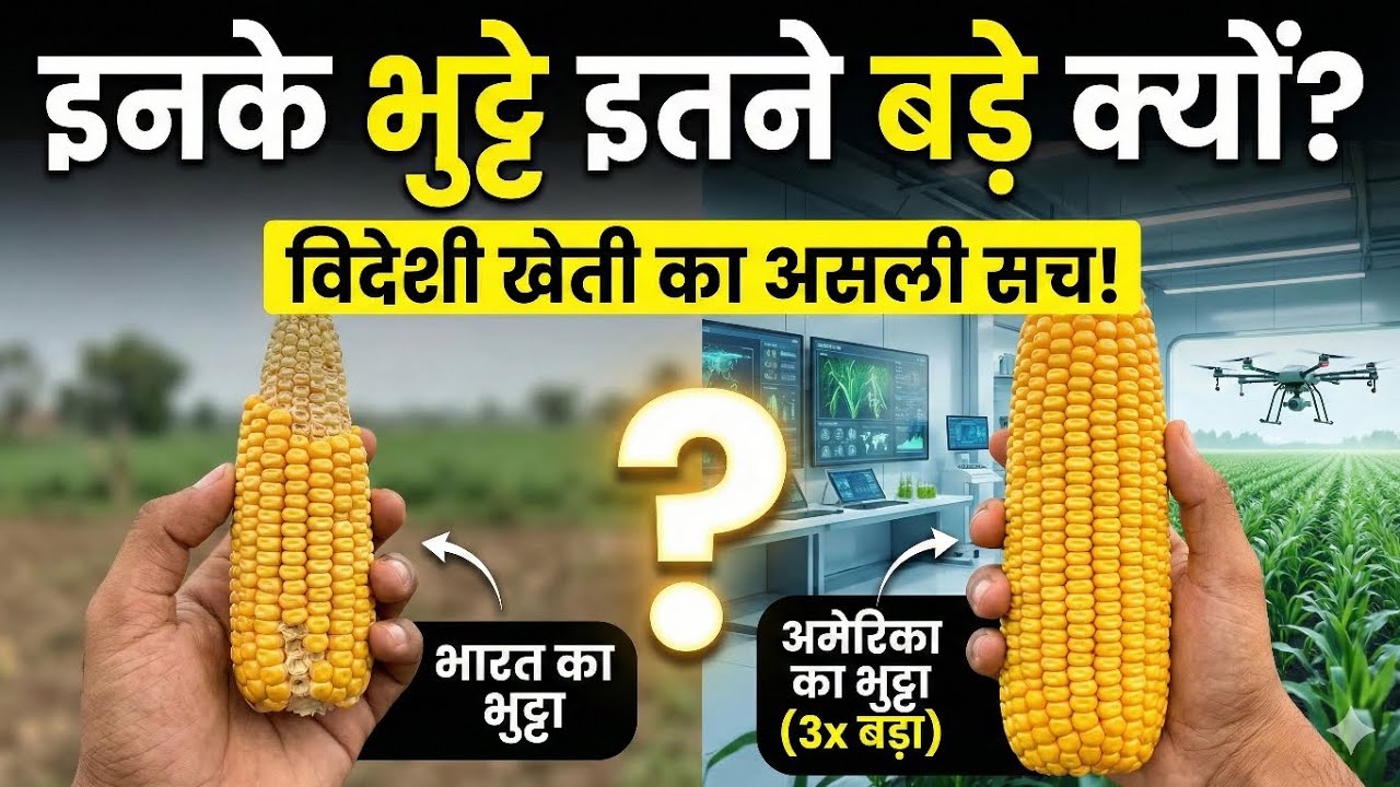 विदेशी किसान 3 गुना पैदावार कैसे लेते हैं? | Farming Science जो भारत को 50 साल पीछे रखे है