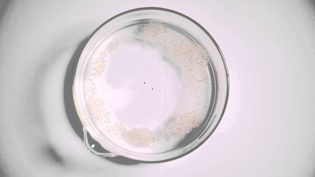 Melt pool dynamics