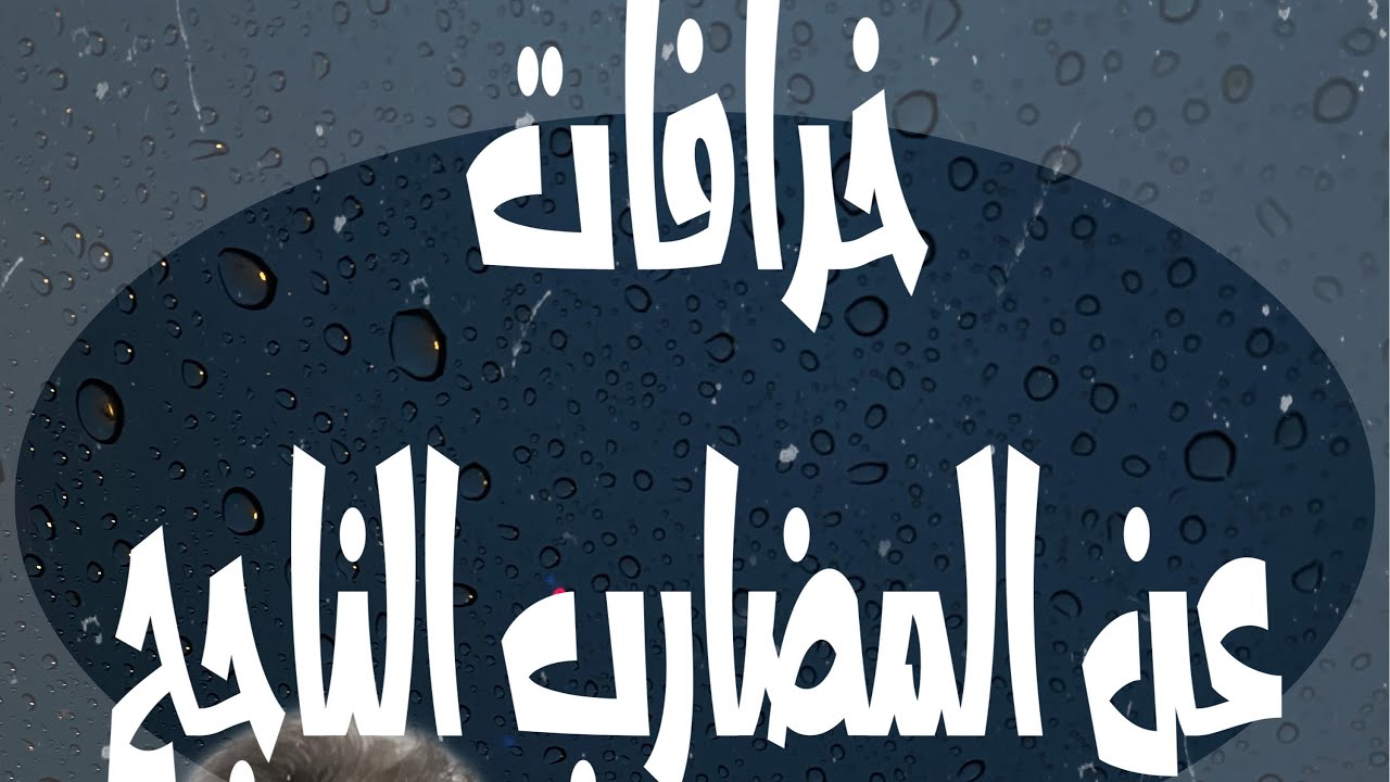 سناب 23 الخرافات المتداولة عن المضارب الناجح