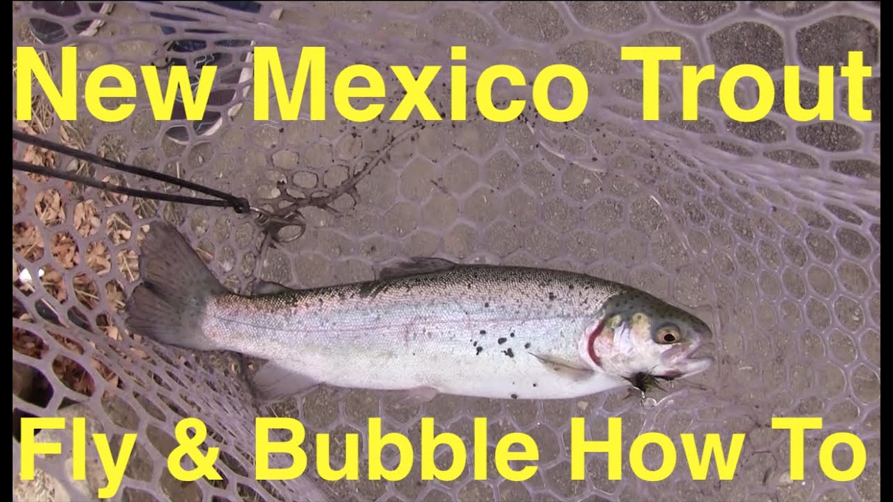 How to Catch New Mexico Trout with a Fly & Bubble Combo