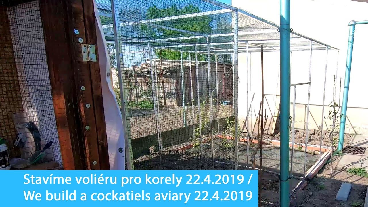Stavíme novou voliéru pro korely / We build a  new cockatiels aviary 2019 │KorelyEu
