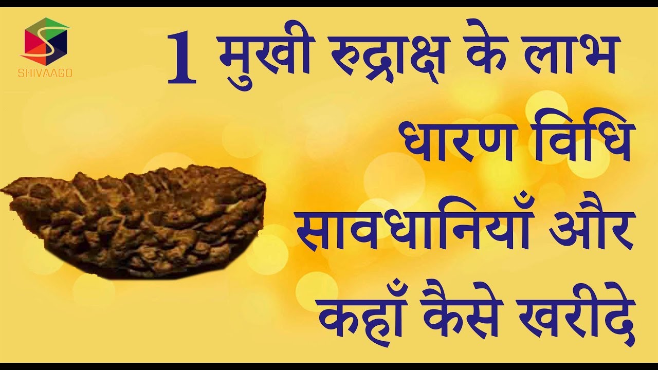 1 मुखी रुद्राक्ष के लाभ,धारण विधि ,सावधानियाँ अाैर कहाँ कैसे खरीदे ll 1 Mukhi Rudraksha Benefits