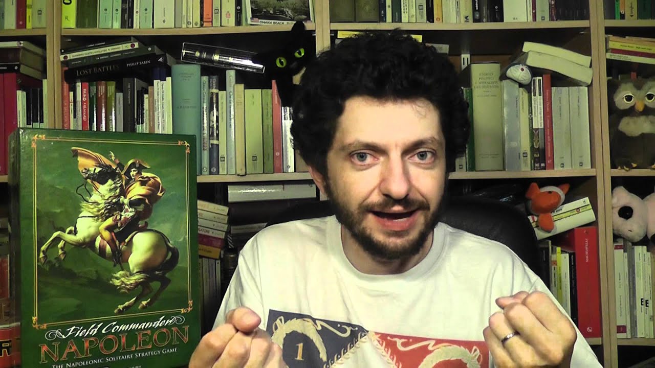 Field Commander Napoleon Review (part 2): Conclusions