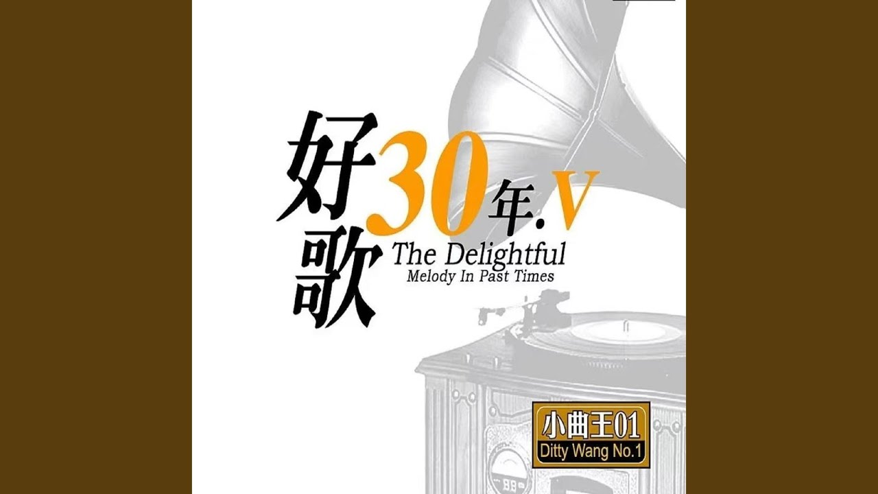 邊個話我傻