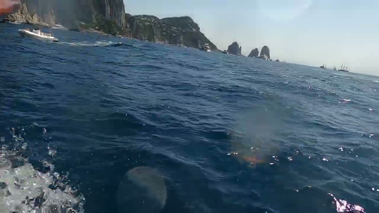 Private boat tour of Capri