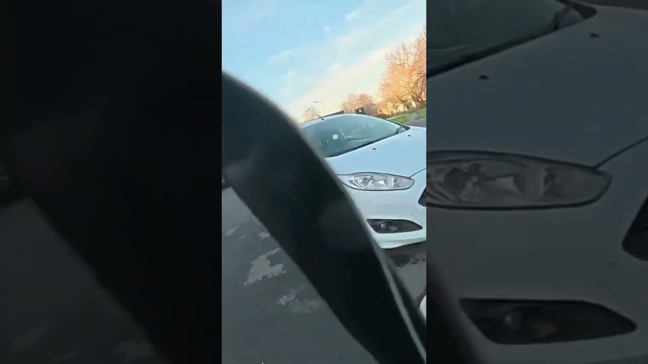 «Прости, Кев… Собака сказала свое слово 🐶😂» 