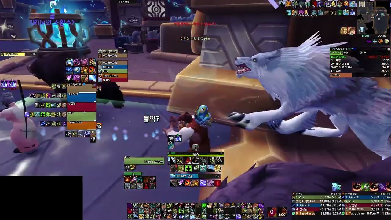 +22 경이의 거리 야냥 시점 / Streets of Wonder Beast Mastery Hunter POV