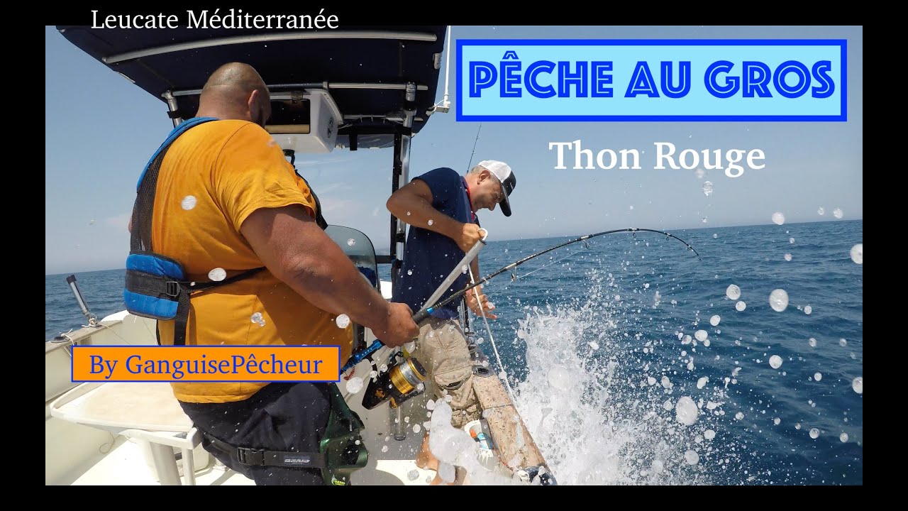 Pêche au Gros (Thon Rouge Broumé ) Leucate