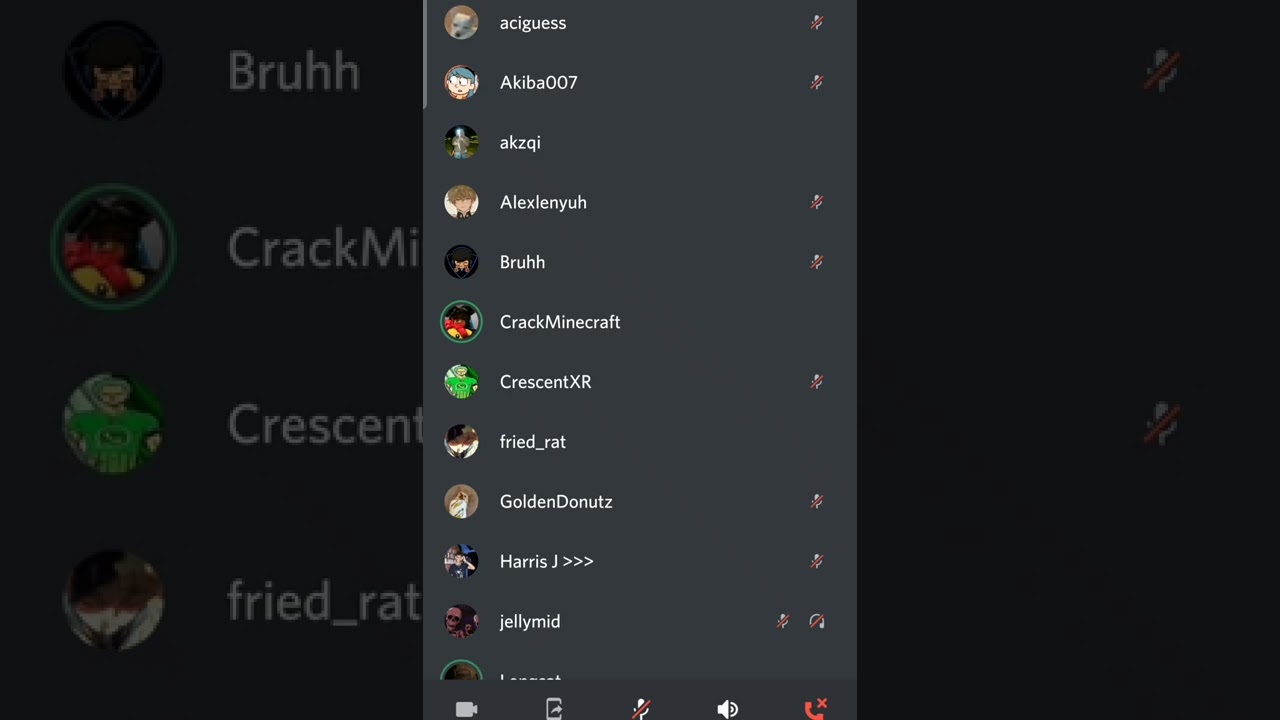 complete madness in Meowbah's discord 😑