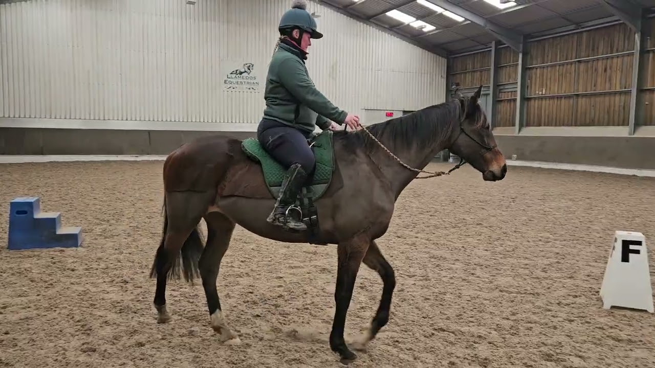 Nova red equagility Feb 2026
