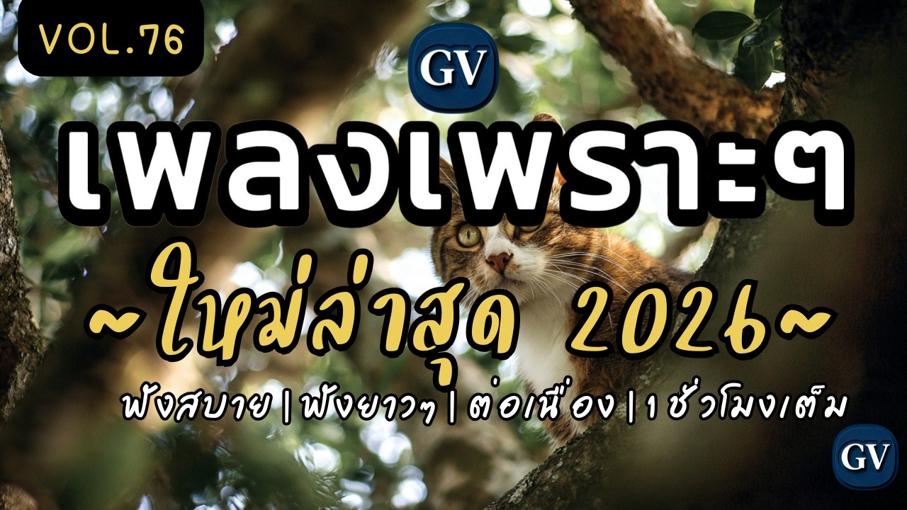 เพลงเพราะ ฟังสบายๆ 2026 ส | ใหม่ล่าสุด ฟังสนุก  ฟังเพลงฮิตๆ ฟังสบายๆ ต่อเนื่อง ไม่มีโฆษณาคั่นบ่อย