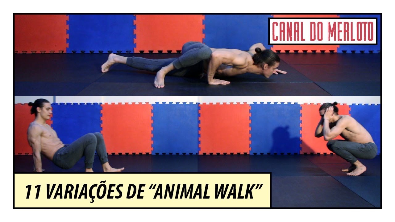 11 VARIAÇÕES DE ANIMAL WALK | GINÁSTICA NATURAL DO JIU JITSU