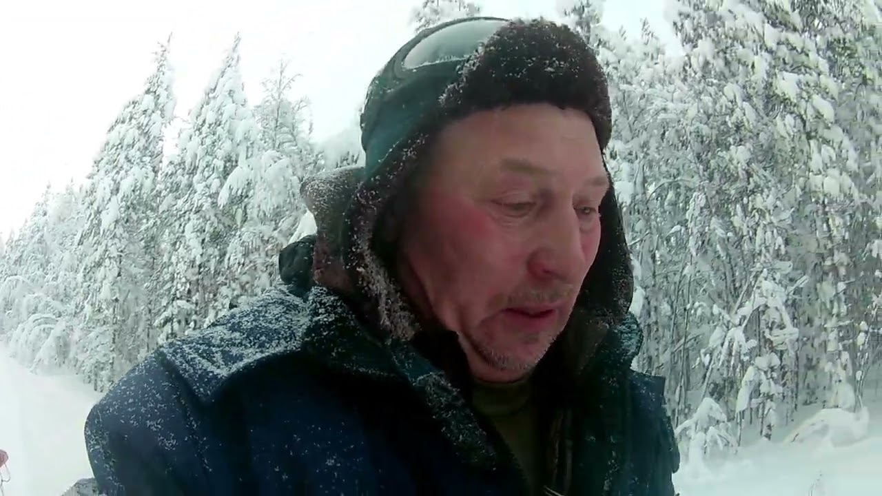 Проверка путика,снегу навихало опять .