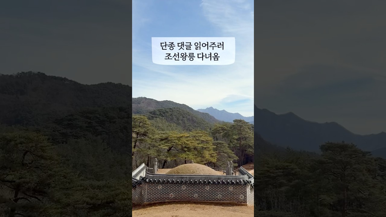 단종대왕님.. 🍚쌀밥🍚길만 걸으세요..🥺 세조는..#조선왕릉 #영월장릉 #광릉 #댓글읽기