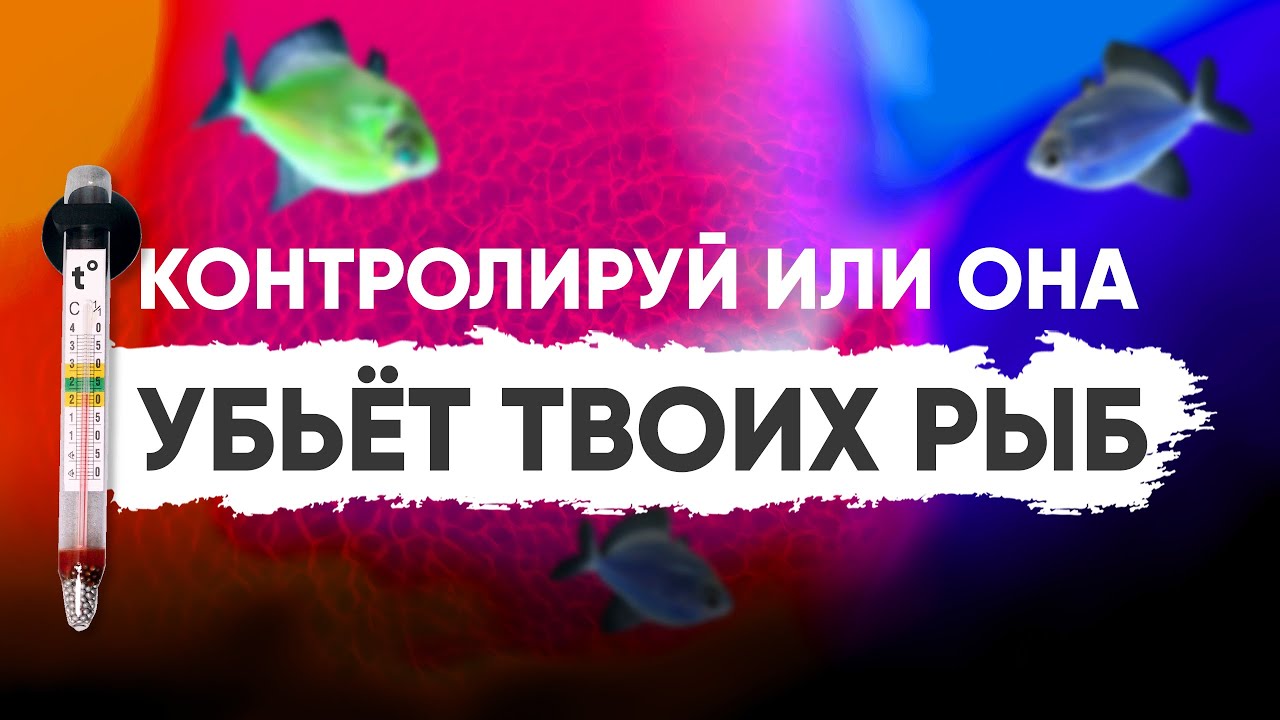 Основные параметры воды в аквариуме - температура
