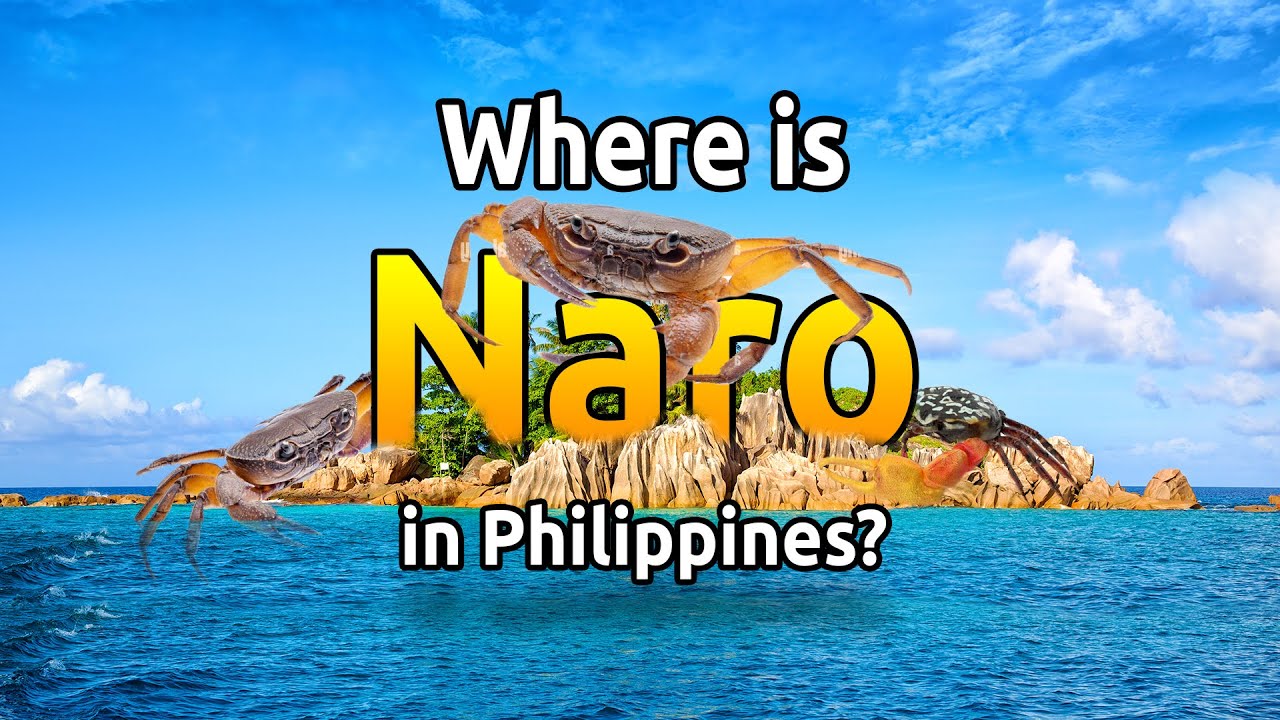 An ISLAND SURROUNDED BY POISONOUS DEVIL CRABS in the PHILIPPINES