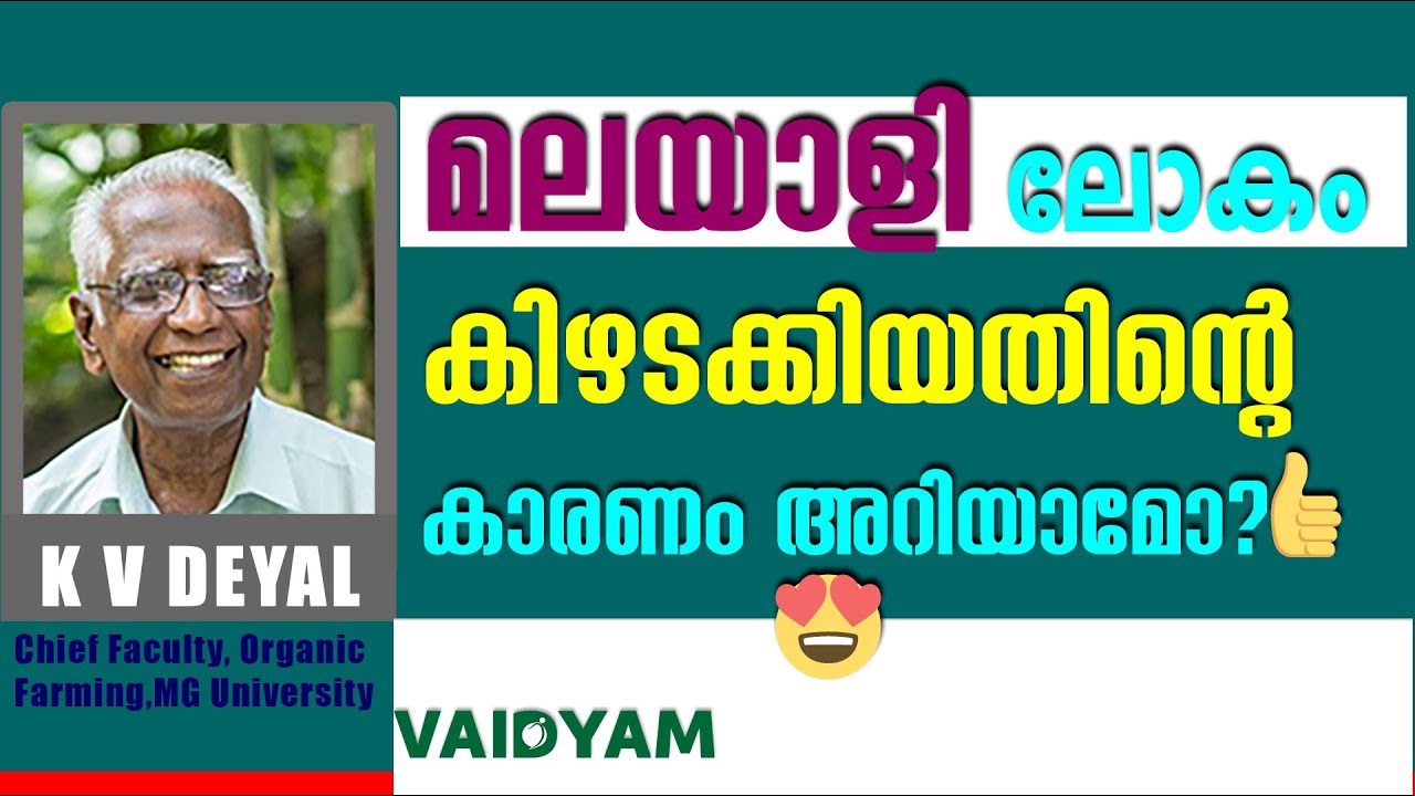 മലയാളി ലോകം കിഴടക്കിയതിന്റെ കാരണം അറിയാമോ ?#kvdayal #marunadanmalayalee #vaidyam