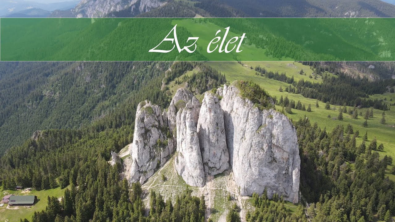 Keresztény versek: Az élet