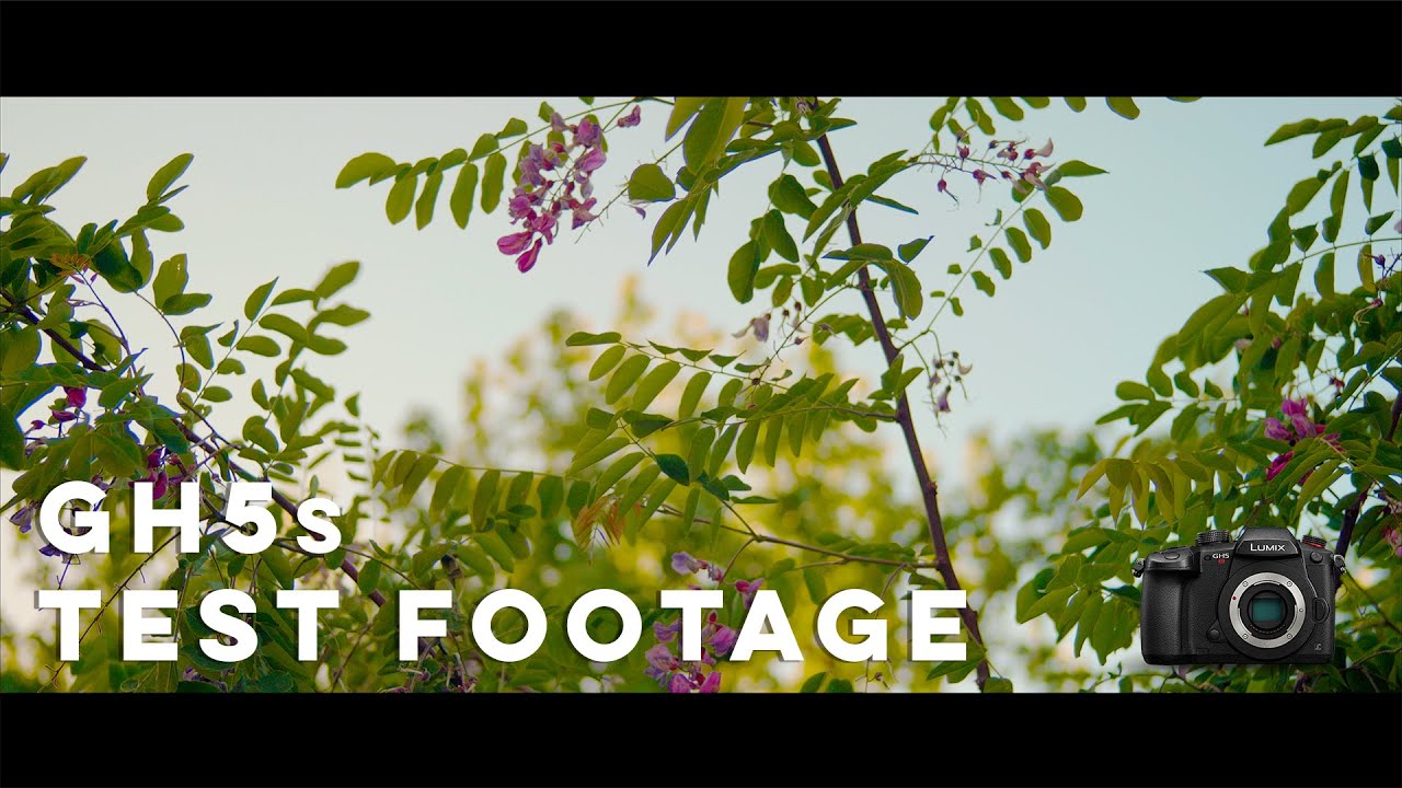 Panasonic Lumix GH5s 4K HDR 10 Bit Cinematic Test Footage