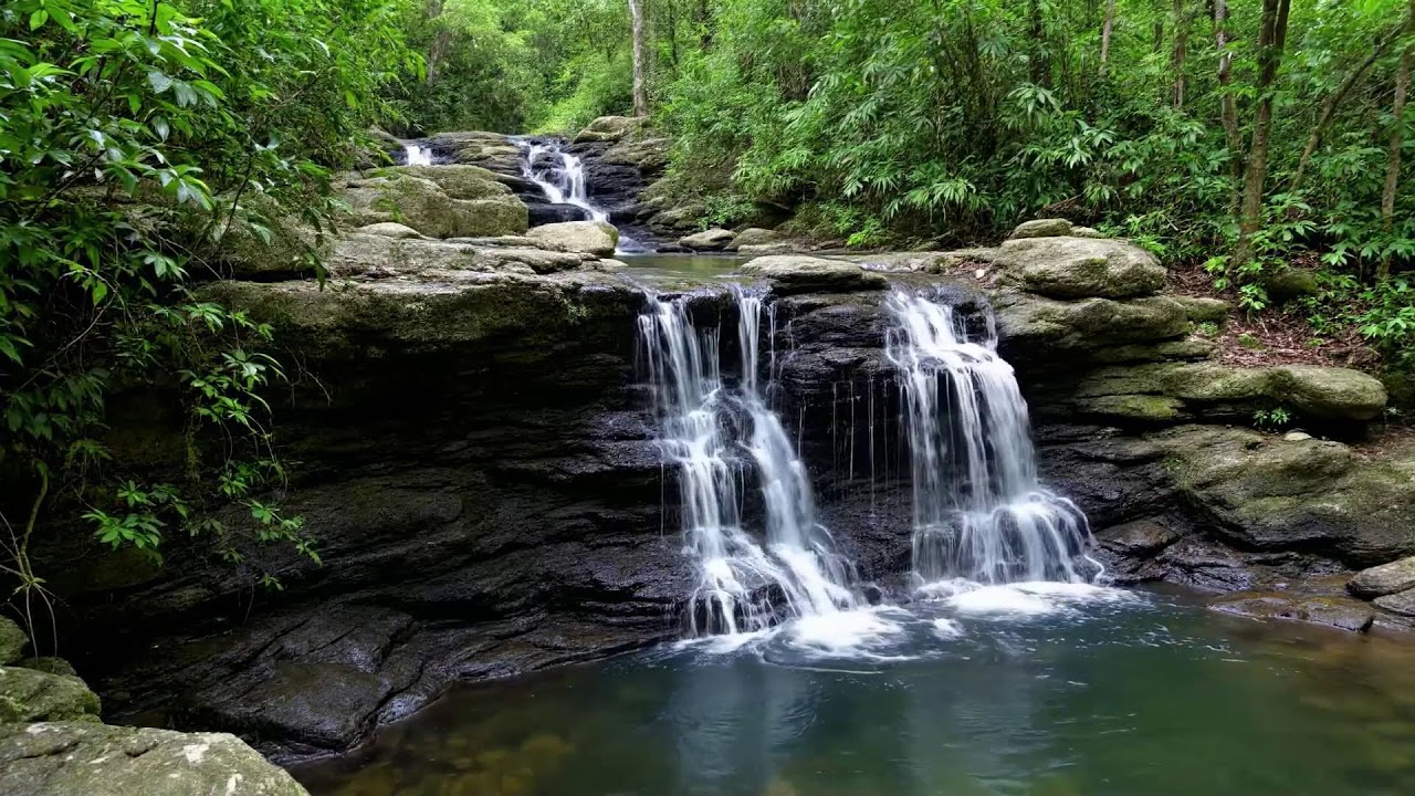 🌬️ Waterfall Sounds & Wind | 12 Hour Live Stream | Relaxing Nature