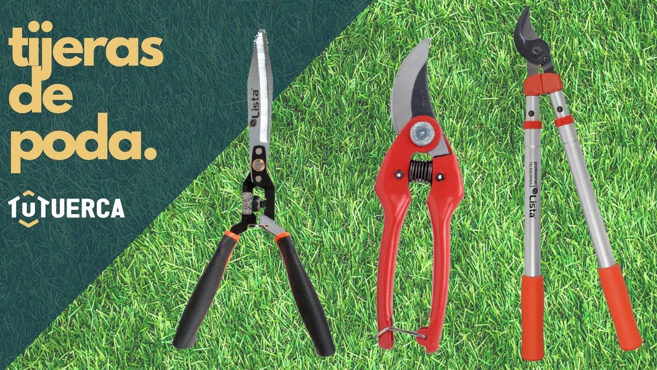 Guía FÁCIL de TIJERAS DE PODA | jardín para principiantes ✂️🌳🏡
