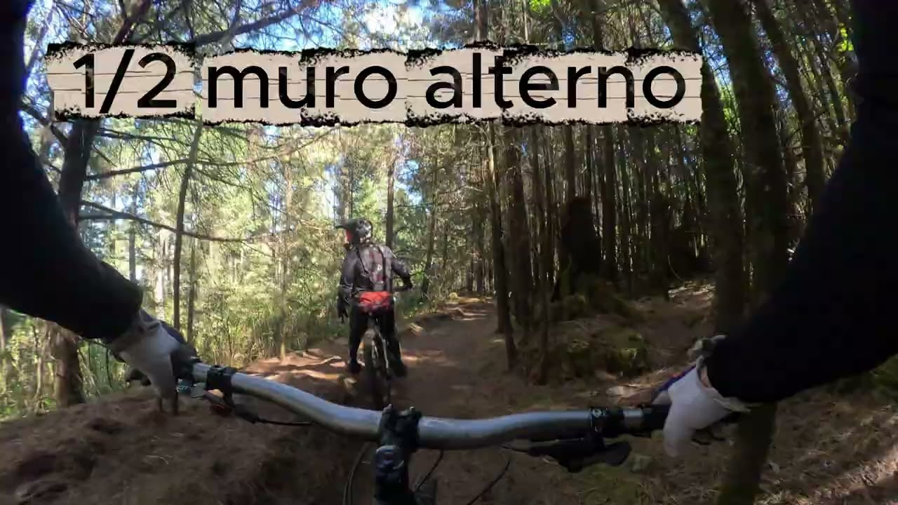 RS medio muro alterno