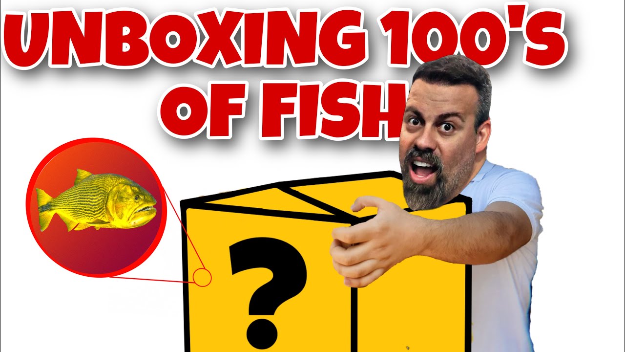 *UNBOXING* TONS OF NEW FISH THAT CAME IN FROM BRAZIL! WE NEED MORE TANKS.. FAST!!