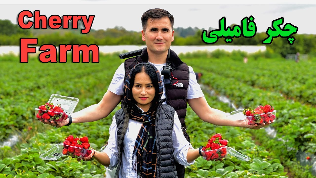 چكر با فاميل ||Farm Cherry 🍒 🍒 Family Vlog